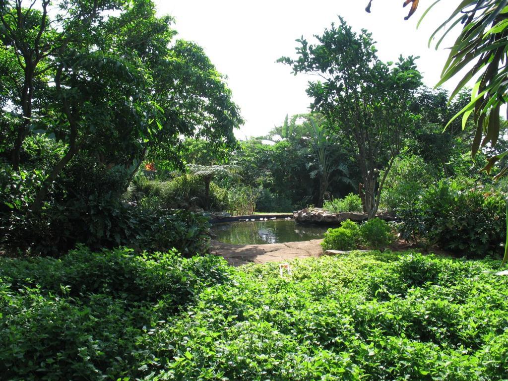 Comfort House Bed & Breakfast Ballito Exterior foto